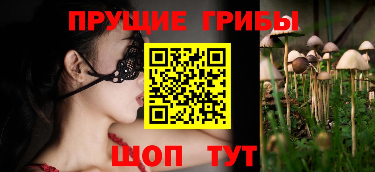 Лесозаводск  Галлюциногенные грибы Magic Shrooms  Вход с VPN 