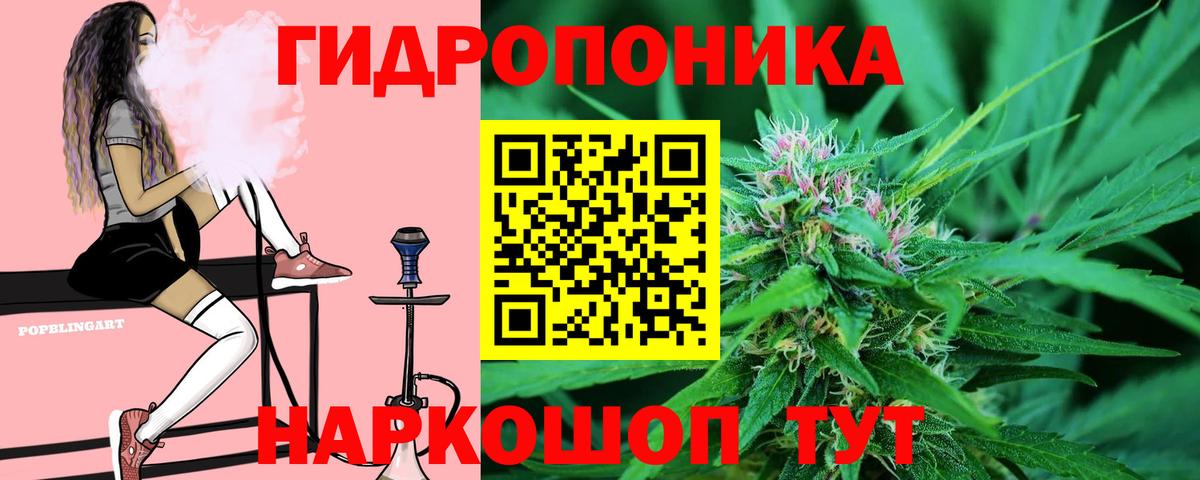 Лесозаводск  Конопля план  МАРИХУАНА семена  Канабис Ganja  Вход с VPN 